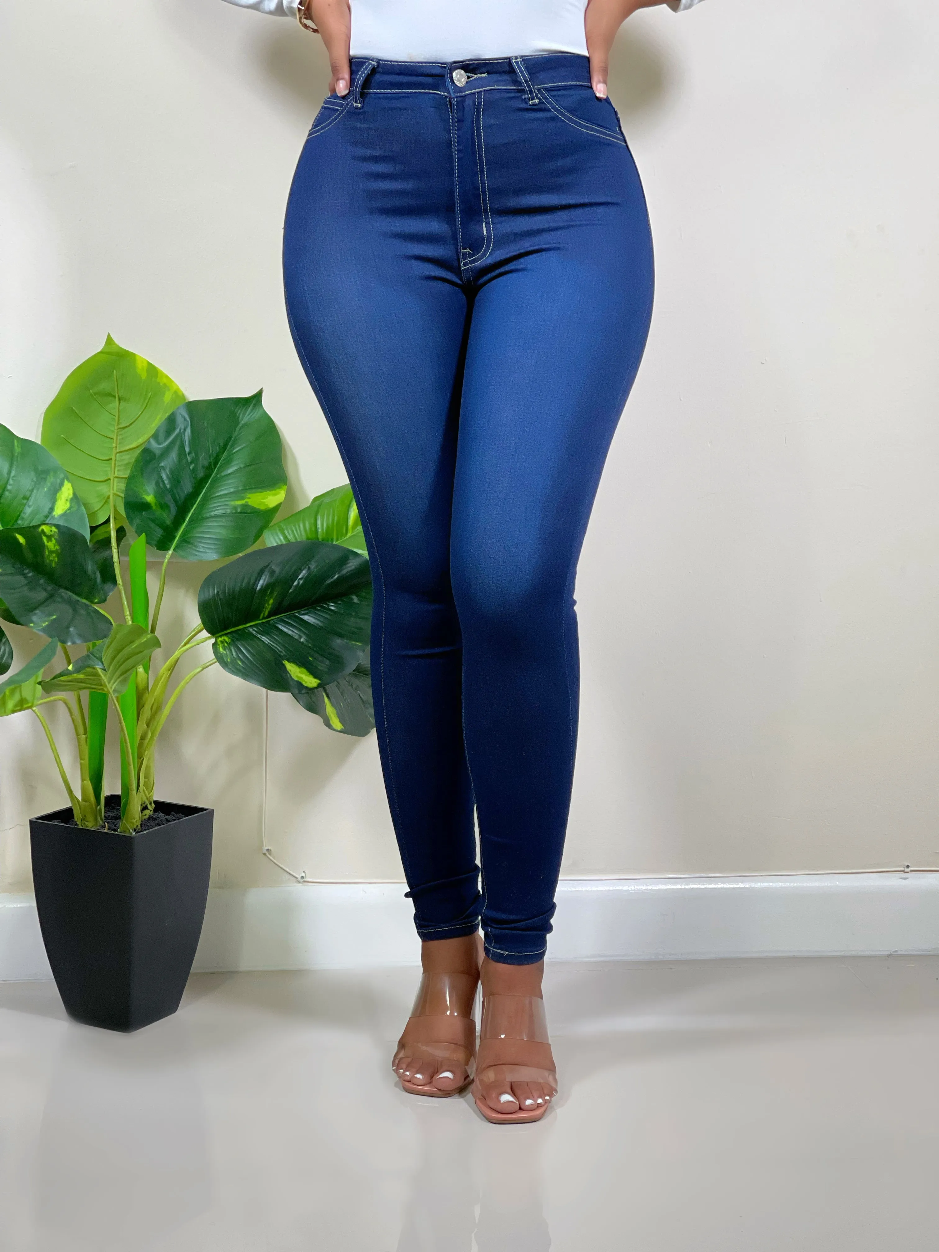 Becky High Waist Skinny Jeans-Ink