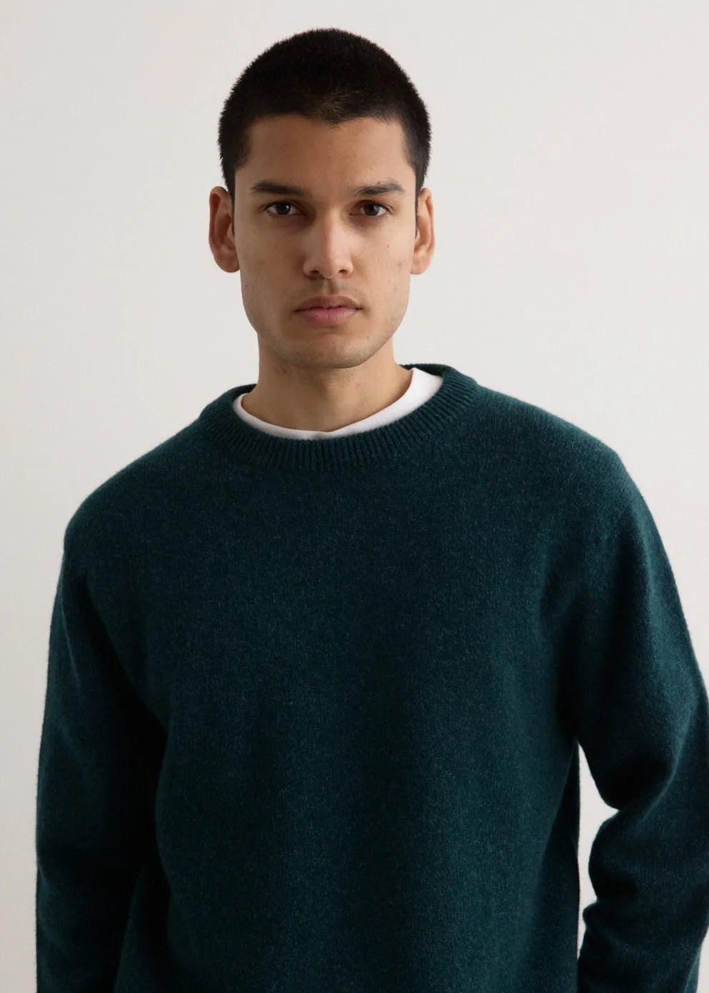 Soft Poison Knit